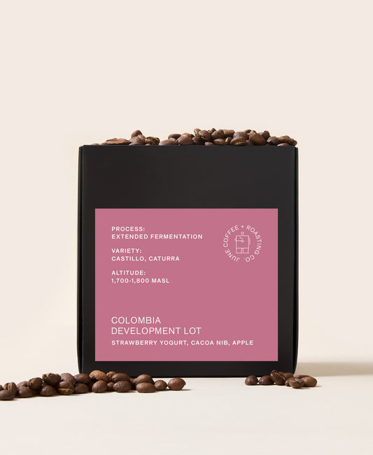 Colombia Young Producer Development Lot