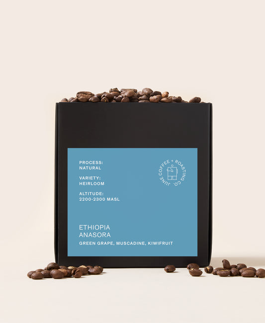 Ethiopia Guji Anasora