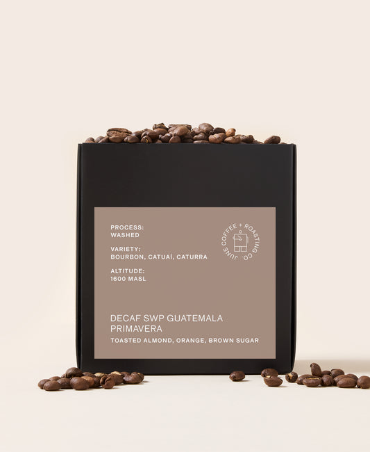 DECAF Guatemala Primavera