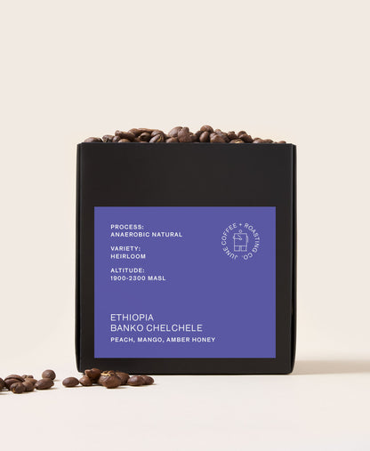 Ethiopia Banko Chelchele