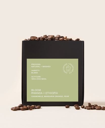 BLOOM Spring Blend
