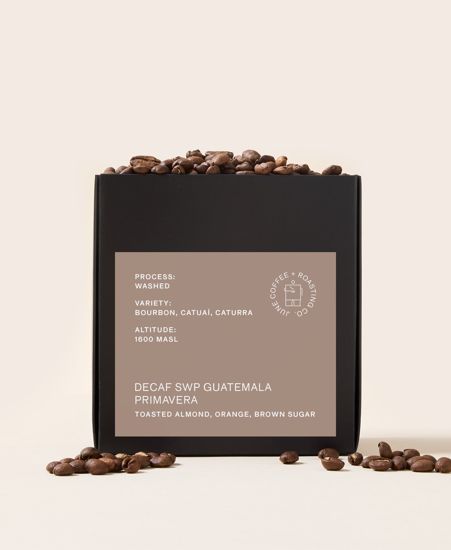 DECAF Guatemala Primavera